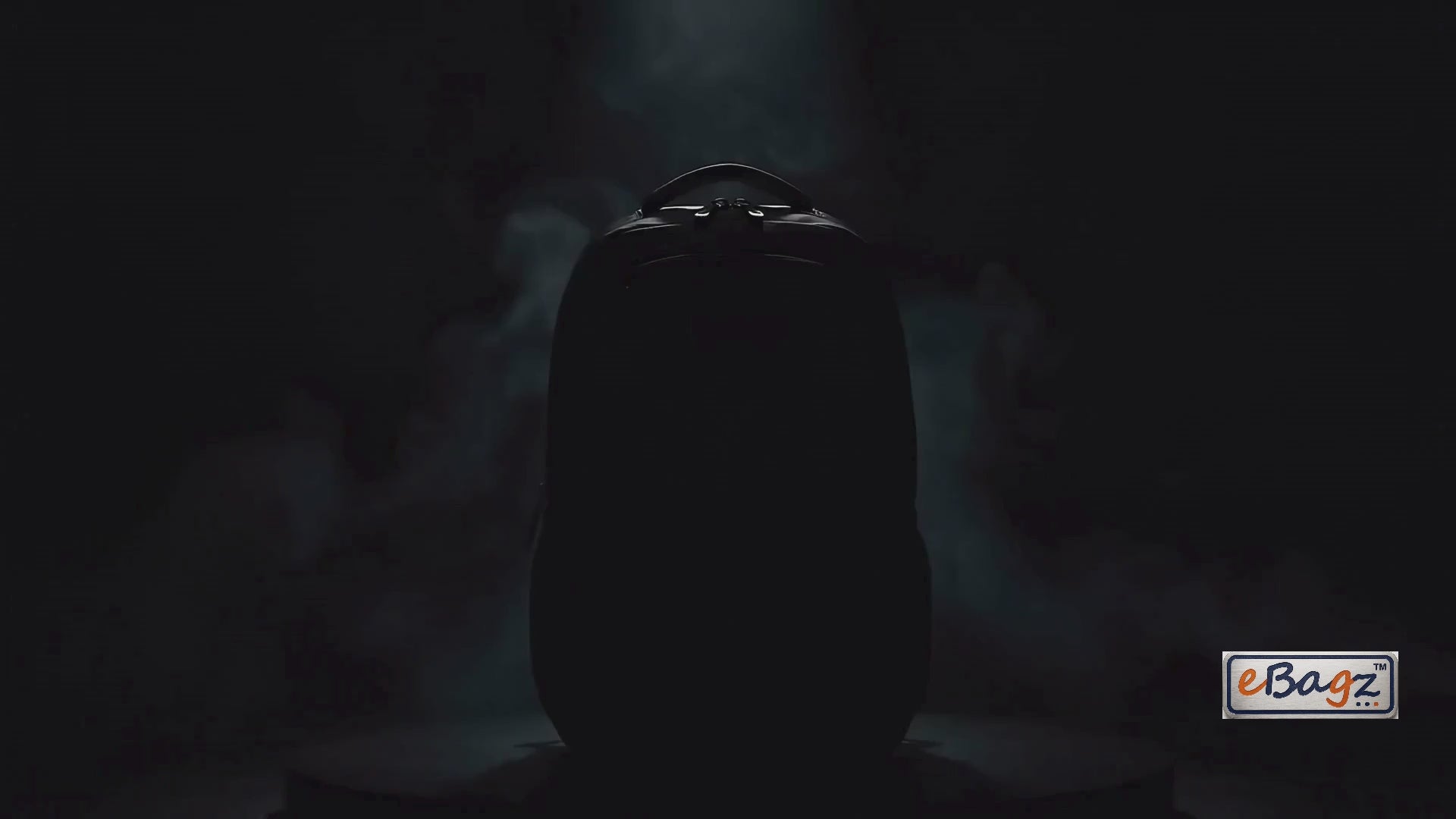 SafeGo-V 22 Liter Black GPS+Voice Monitor Backpack